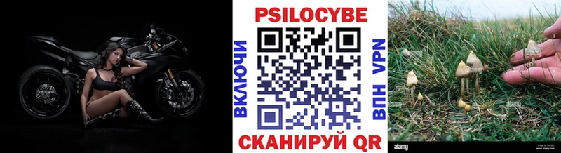 Псилоцибиновые грибы прущие грибы  Купить где  Вичуга 